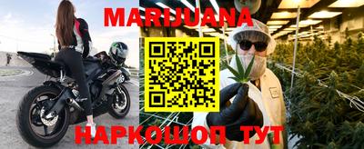 Альфа ПВП Моздок