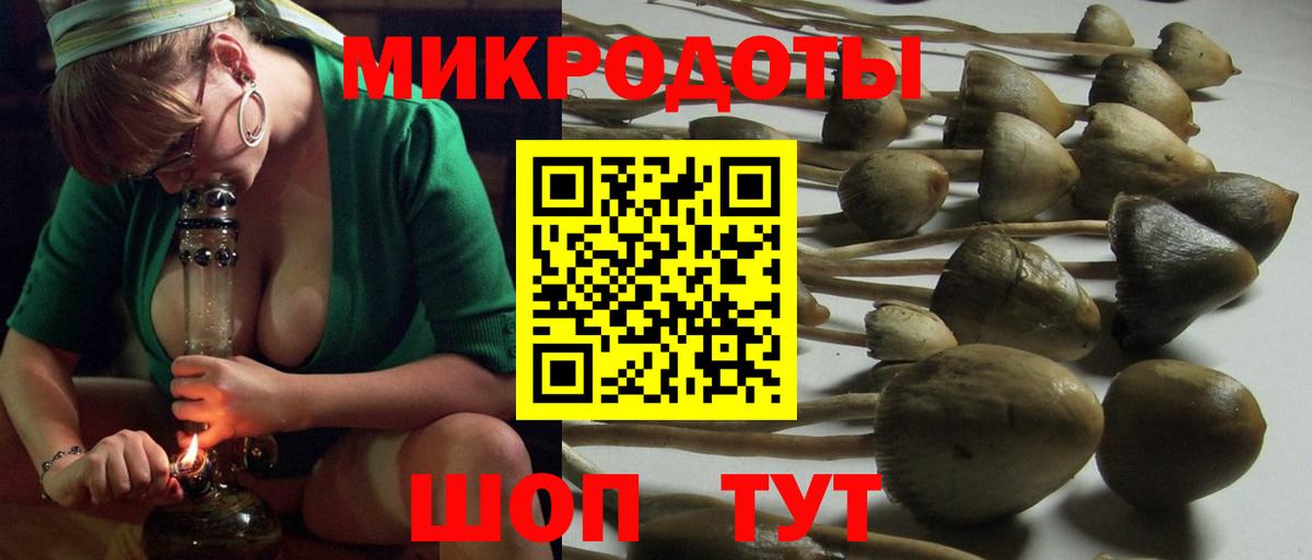 Галлюциногенные грибы Psilocybe  Вход с VPN  Добрянка 